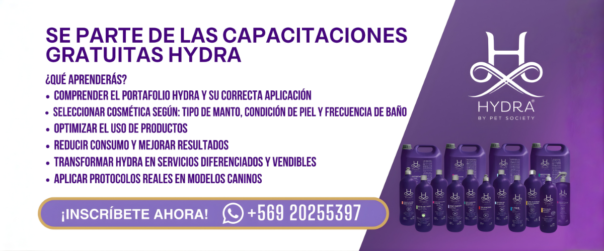 Diapositiva Fullpet