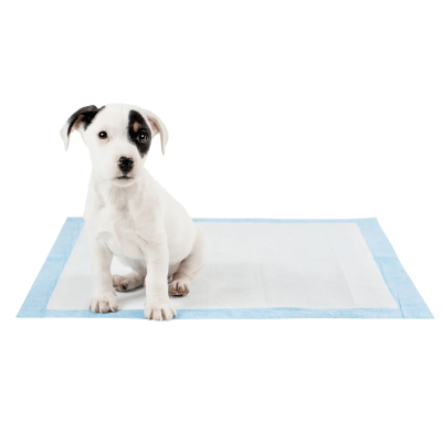 100 Pañales Tipo Sabanillas Mascotas Perros 60x60