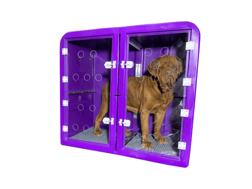 Canil Grande Kennel JET - OMEGAPET