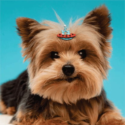 Pack Adhesivo Pity Biju - TOP SECRET - OVNICAT - 10 Unidades