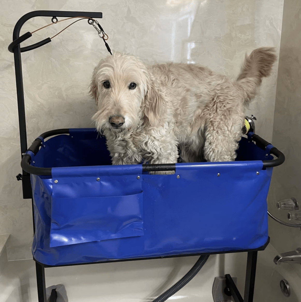 Bañera Portátil con Brazo para Mascotas Pro Groomers