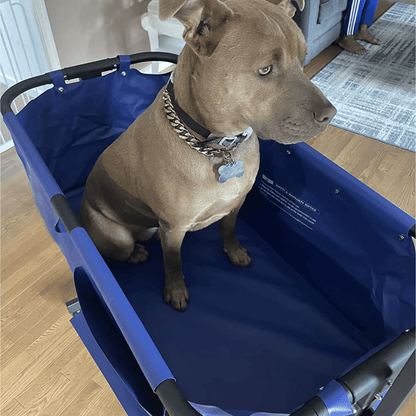 Bañera Portátil con Brazo para Mascotas Pro Groomers