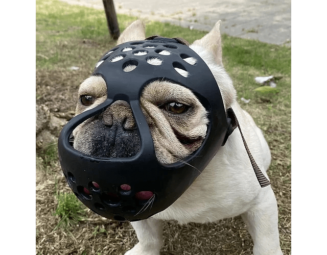 Bozal de Seguridad para Perros de Hocico Corto (Braquicéfalo) – Pro Groomers