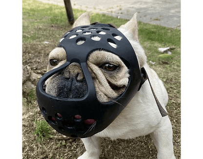 Bozal de Seguridad para Perros de Hocico Corto (Braquicéfalo) – Pro Groomers