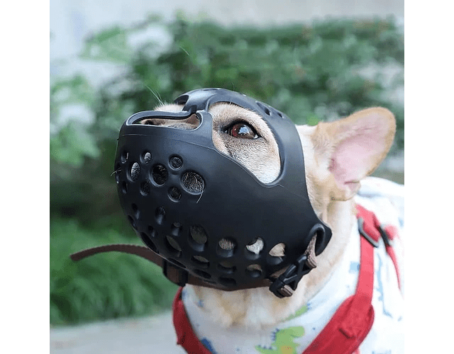 Bozal de Seguridad para Perros de Hocico Corto (Braquicéfalo) – Pro Groomers