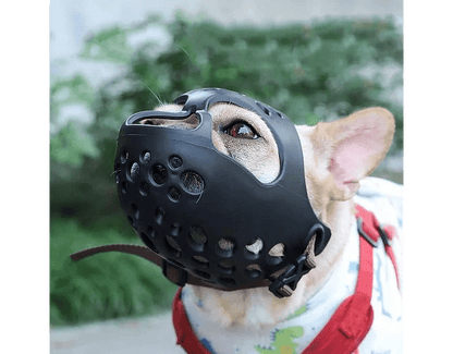 Bozal de Seguridad para Perros de Hocico Corto (Braquicéfalo) – Pro Groomers