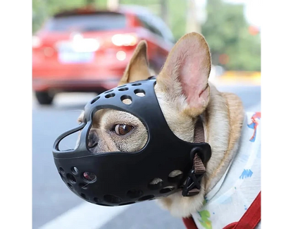 Bozal de Seguridad para Perros de Hocico Corto (Braquicéfalo) – Pro Groomers