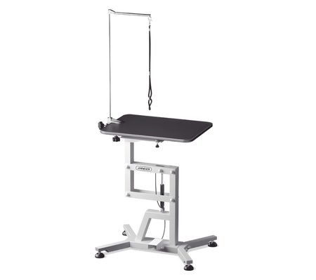 Mesa hidráulica para animais de estimação JIRPET - R30 