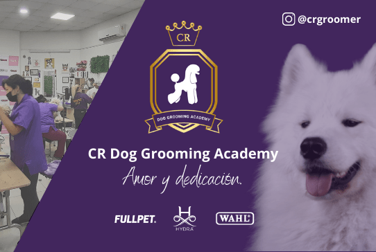 CURSOS DE PELUQUERÍA CANINA