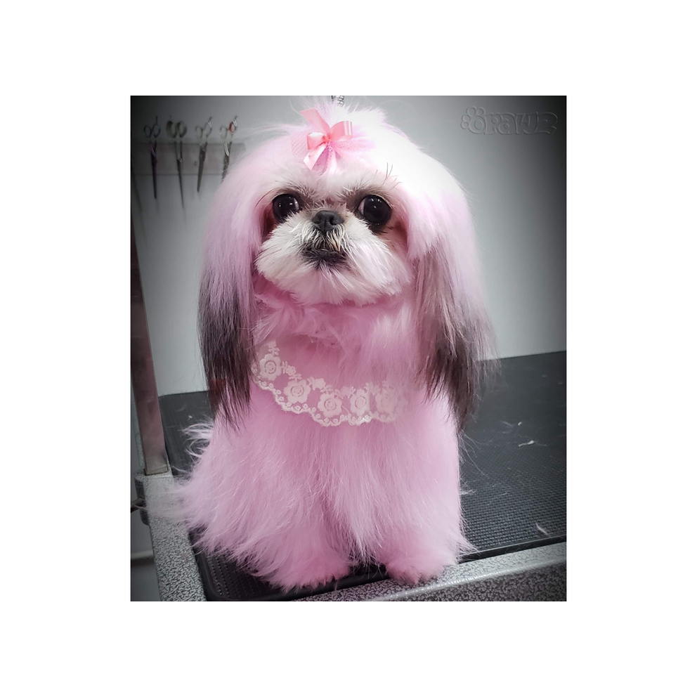 Funky Color Shampoo Opawz Rosado 500 ml